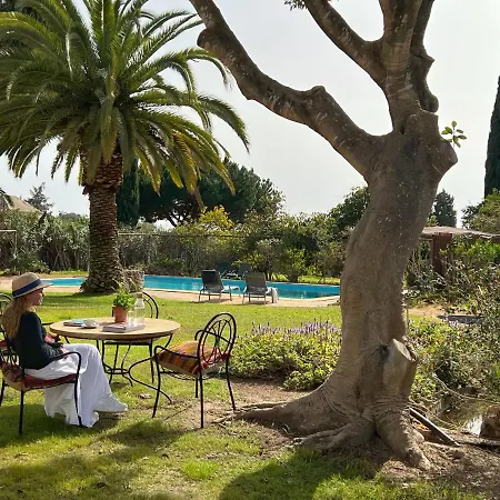 Farmhouse In The Algarve *