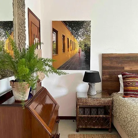 Farmhouse In The Algarve *