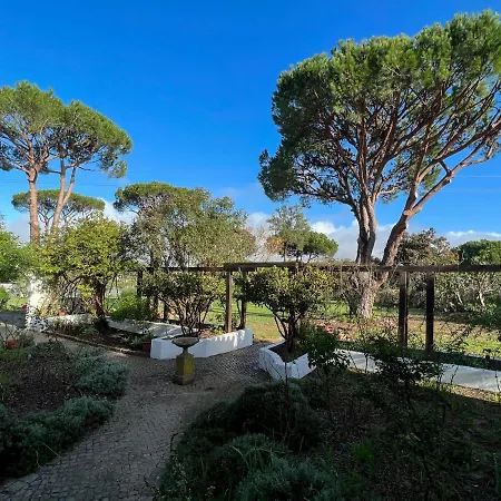Farmhouse In The Algarve Villa